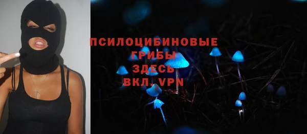 spice Абинск