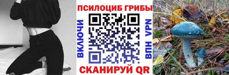 Псилоцибиновые грибы Cubensis где продают shop официальный сайт Холм мега ONION